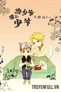 Khi Công Tử Gặp Thiếu Gia book cover