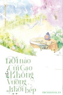 Nơi Nào Củi Gạo Không Vương Khói Bếp book cover