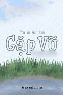 Gặp Vũ book cover
