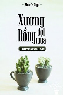 Xương Rồng Đợi Mưa book cover