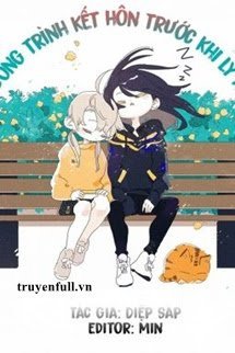Chương Trình Kết Hôn Trước Khi Ly Hôn book cover