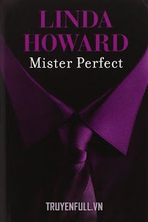 Mr. Perfect book cover