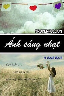 Ánh Sáng Nhạt book cover