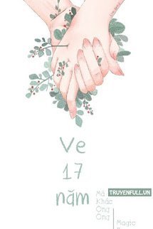 Ve Mười Bảy Năm book cover