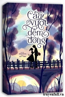 Cầu Vượt Đêm Đông book cover