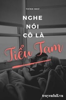 Nghe Nói Ngươi Là Tiểu Tam book cover