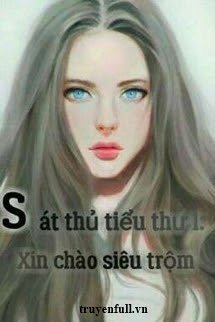 Sát Thủ Tiểu Thư 1: Xin Chào Siêu Trộm book cover