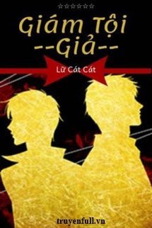 Người Giám Tội book cover