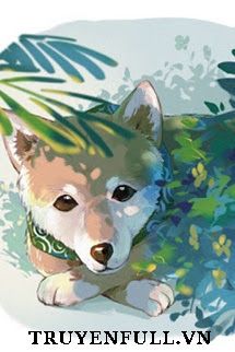 Bị Đưa Vào Ổ Sói Phải Làm Sao Bây Giờ book cover