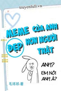 Meme Của Anh Đẹp Hơn Người Thật book cover