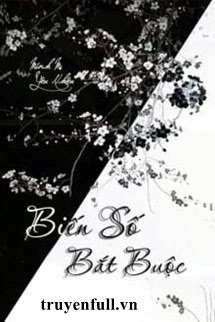 Biến Số Bắt Buộc book cover