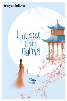 Lương Thần Nan Vị book cover