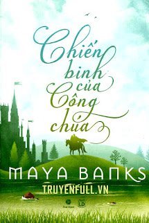 Chiến Binh Của Công Chúa book cover