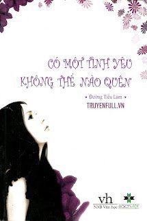Có Một Tình Yêu Không Thể Nào Quên book cover