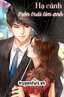Hạ Cánh Trên Trái Tim Anh book cover