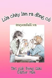 Lửa Cháy Lan Ra Đồng Cỏ book cover