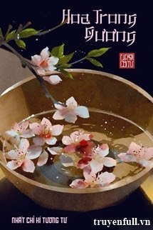 Hoa Trong Gương book cover