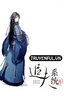 Hệ Thống Truy Phu book cover