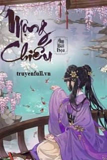 Mộng Chiếu book cover