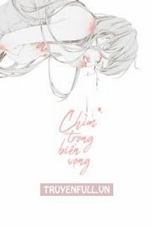 Chìm Trong Biển Vọng book cover