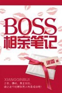 Bút Ký Coi Mắt Của Boss book cover
