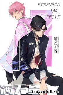 Bầu Trời Đầy Sao book cover