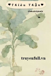 Thiêu Thân book cover