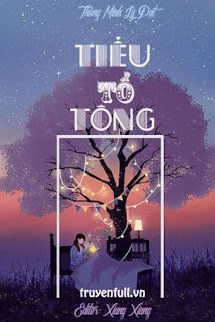 Tiểu Tổ Tông book cover