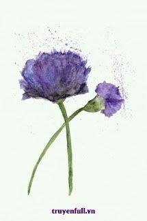 Hóa Ra Người Ở Nơi Này book cover