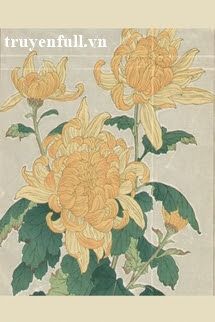 Tranh Diên book cover