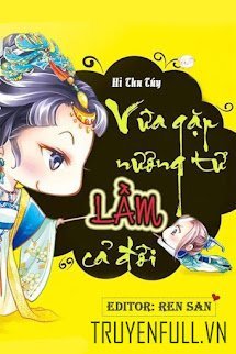 Vừa Gặp Nương Tử Lầm Cả Đời book cover