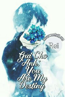 Gửi Cho Anh: You Are My Destiny book cover