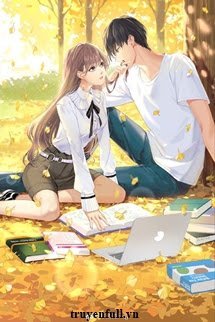 Cuối Cùng Em Cũng Đến book cover