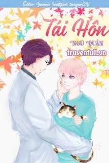Tái Hôn book cover