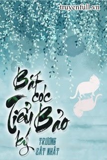 Bắt Cóc Tiểu Bảo ký book cover