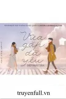 Vừa Gặp Đã Yêu 2 book cover
