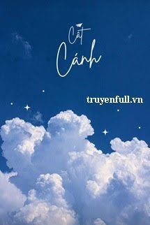 Cất Cánh book cover