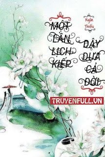 Một Lần Lịch Kiếp, Dây Dưa Cả Đời book cover