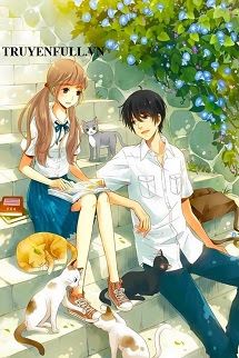 Nam Phụ Hắc Hóa Là Bạn Cùng Bàn Của Tôi book cover