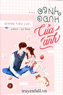 Oanh Oanh Của Anh book cover