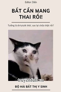 Bất Cẩn Mang Thai Rồi book cover