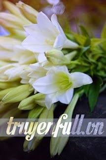 Mùa Hoa Loa Kèn Nở Rực Rỡ book cover