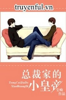 Tổng Giám Đốc Nhà Tiểu Hoàng Đế book cover