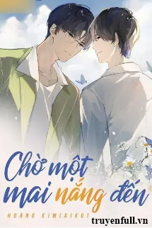Chờ Một Mai Nắng Đến book cover