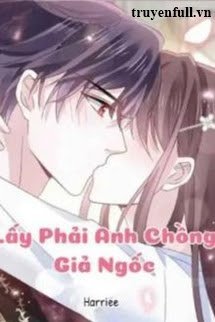 Lấy Phải Anh Chồng Giả Ngốc book cover