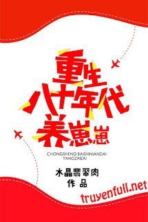 Trọng Sinh Thập Niên 80 Dưỡng Tể Tể book cover