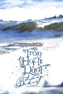 Trốn Thoát Dưới Đáy Biển - Đả Kết book cover