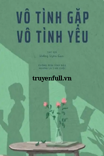 Vô Tình Gặp Vô Tình Yêu book cover