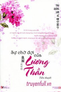 Sự Chờ Đợi Của Lương Thần book cover