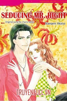 Seducing Mr. Right book cover